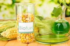 Dumfries biofuel availability